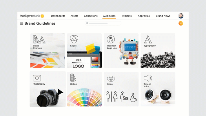 brand guidelines