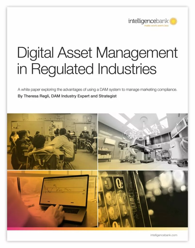 DAM IN REGULATED INDUSTRIES COVER SHADOW scaled 1