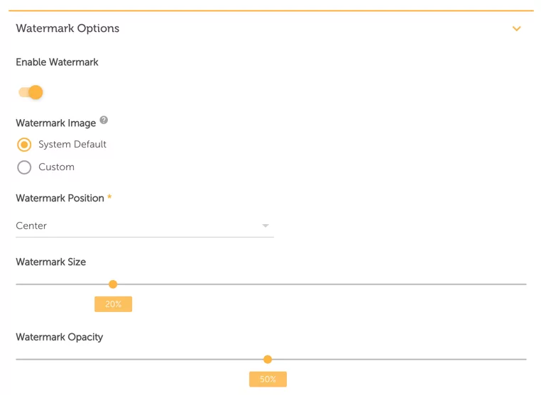 Video Watermark Options