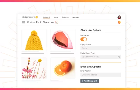 Blog Thumbnail Local Gov DAM