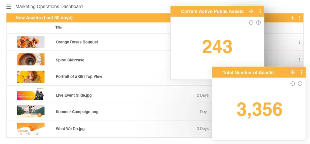 Track Asset Usage within your DAM.