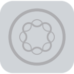 Adobe Experience Manager Icon Logo  Grey2