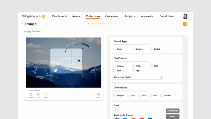 Digital Asset Management Software Image Download