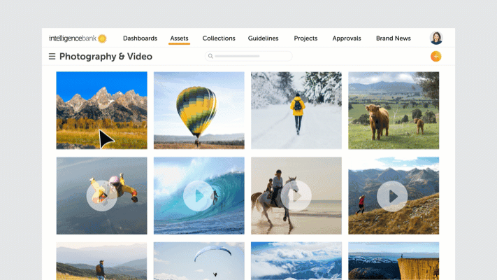 Digital Asset Management Software Tags Permissions