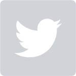 Twitter Icon Logo  Grey2