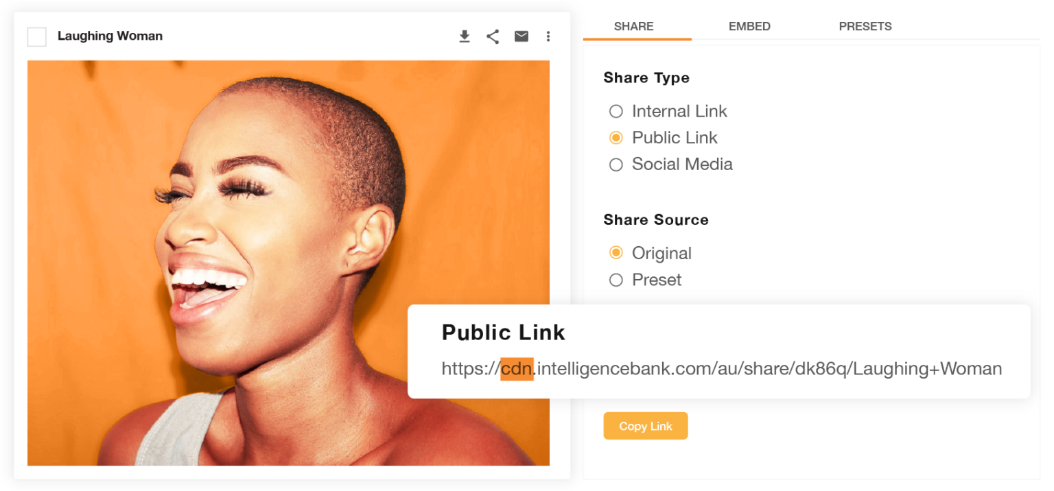 What is a CDN Link? IntelligenceBank