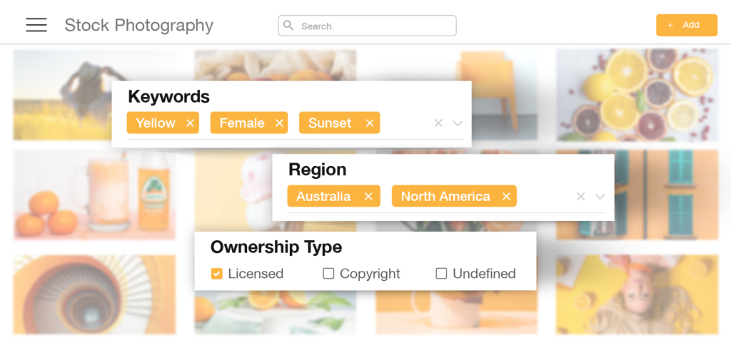 Search for assets easily on a Digital Asset Management.