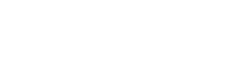 Brand Intelligence Logo white