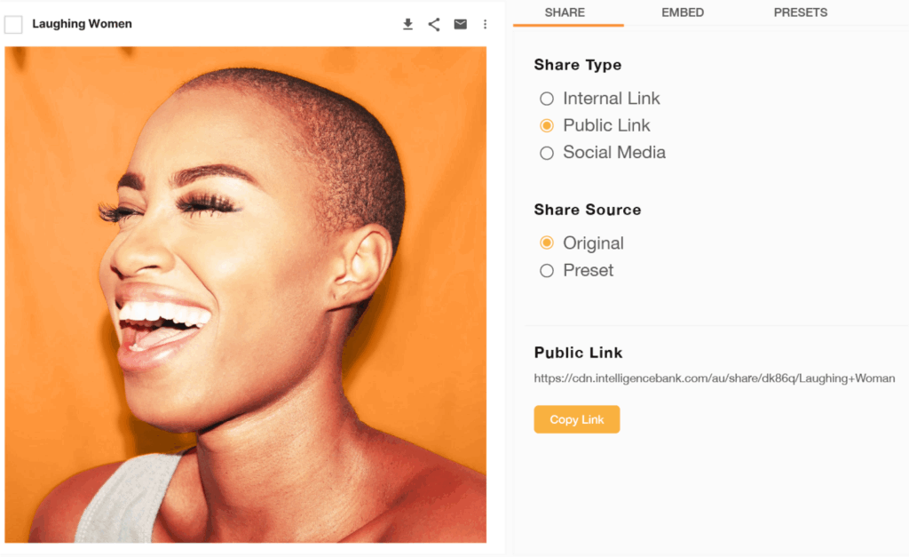 Public Sharing from a DAM Screenshot