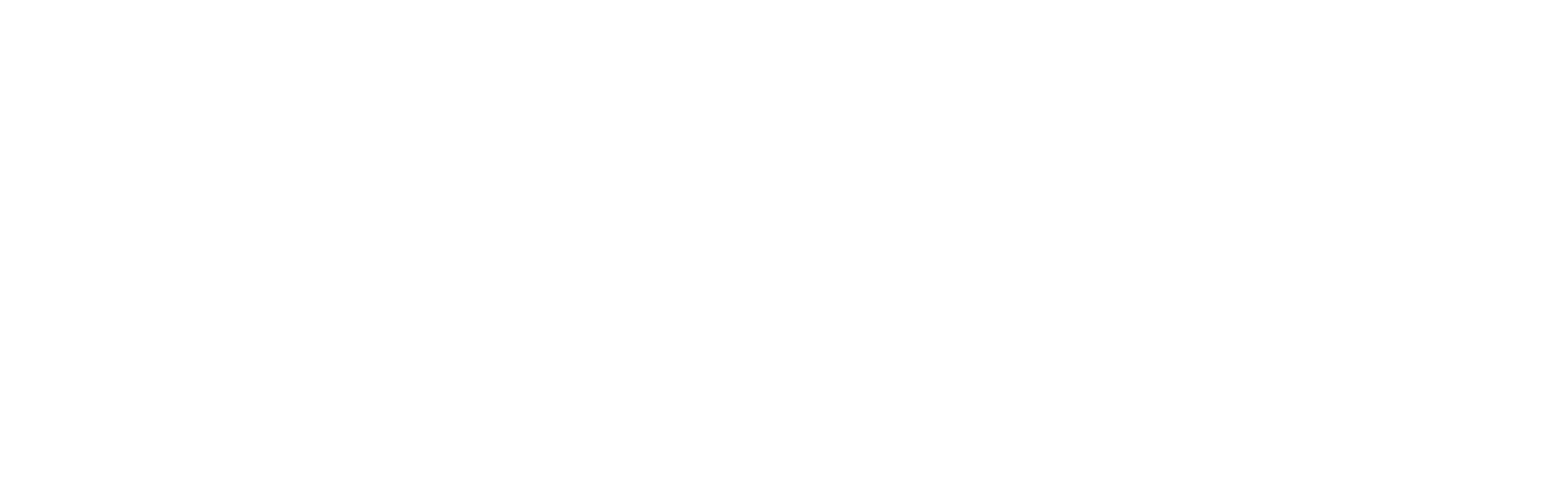 ANZ logo Reverse