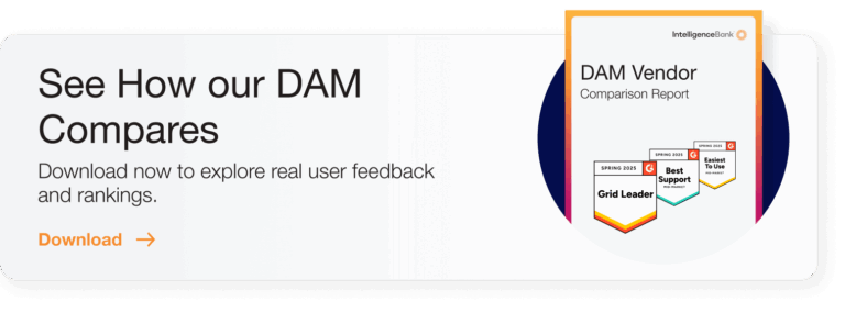 Blog Banner Insert DAM G2 Vendor Report