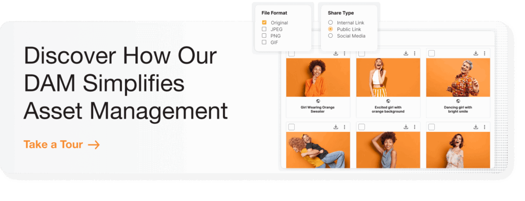 Blog Banner Insert DAM Tour