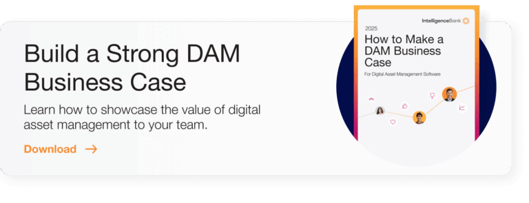 Blog Banner Insert How to Make a DAM Business Case