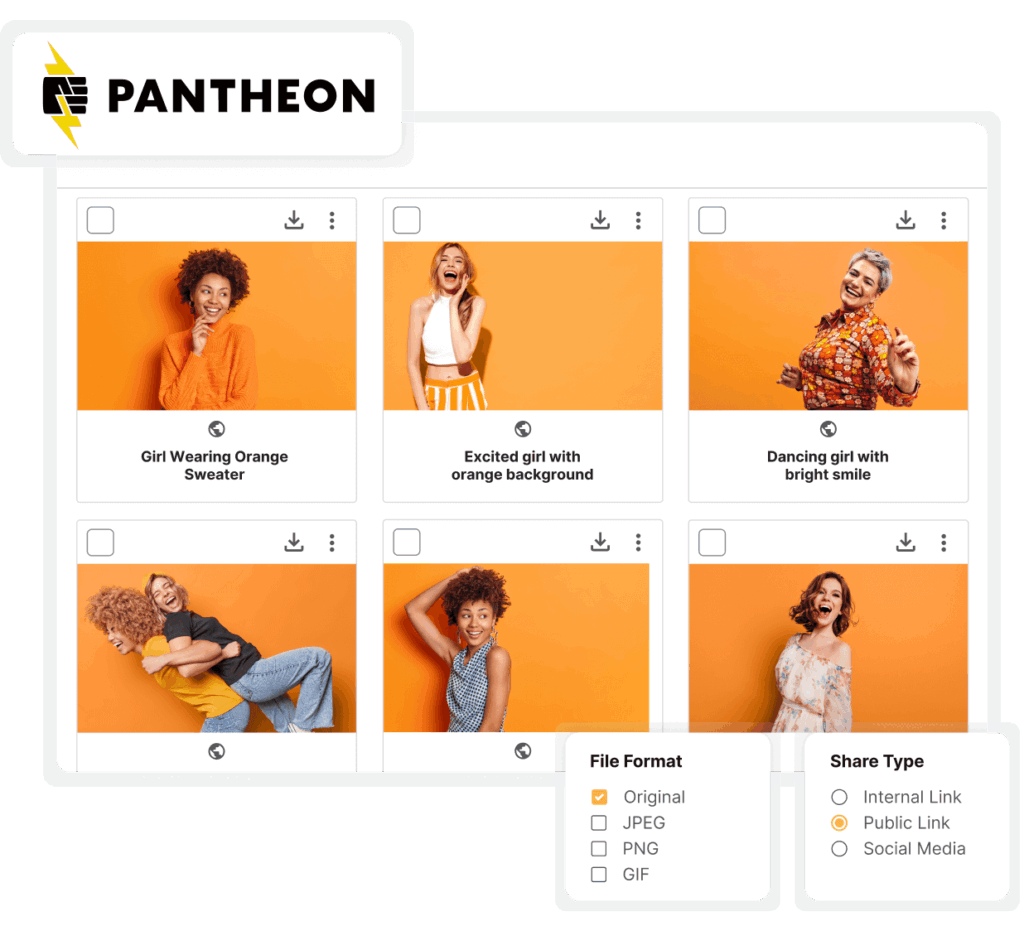 Pantheon Partnership Masthead