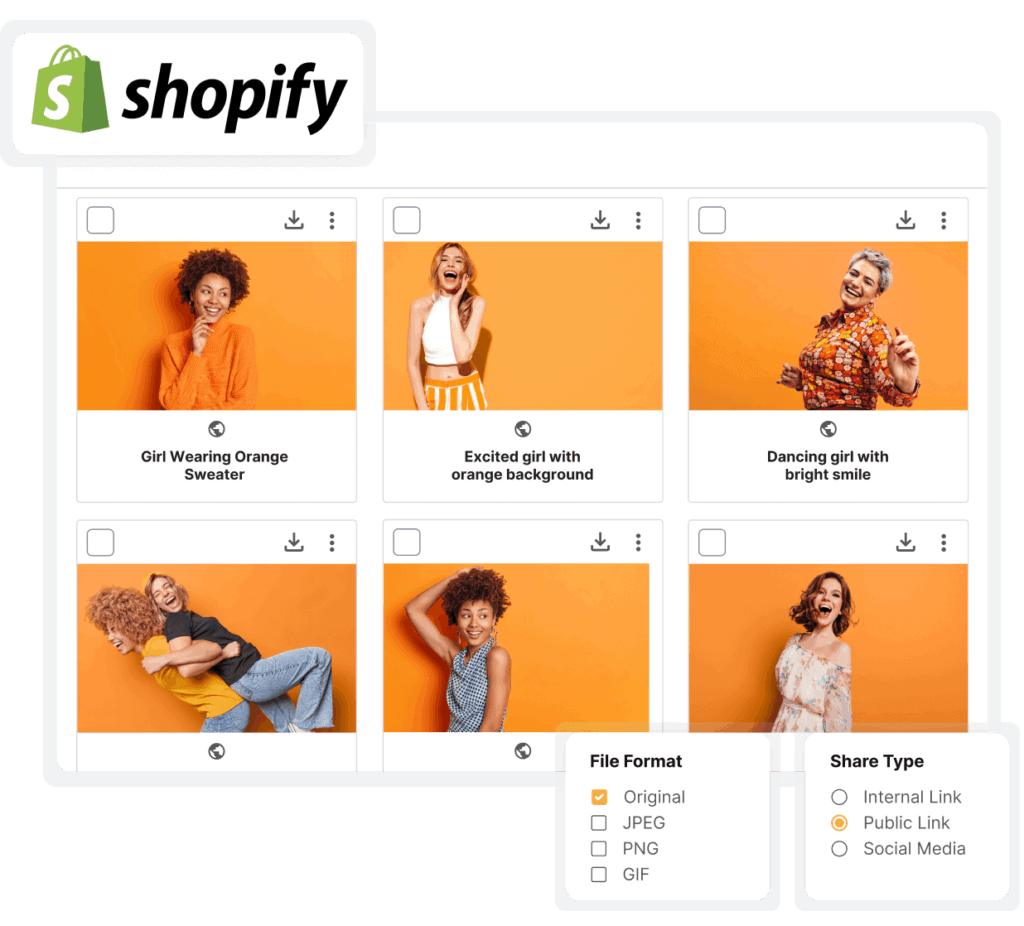 Shopify Partnership Masthead